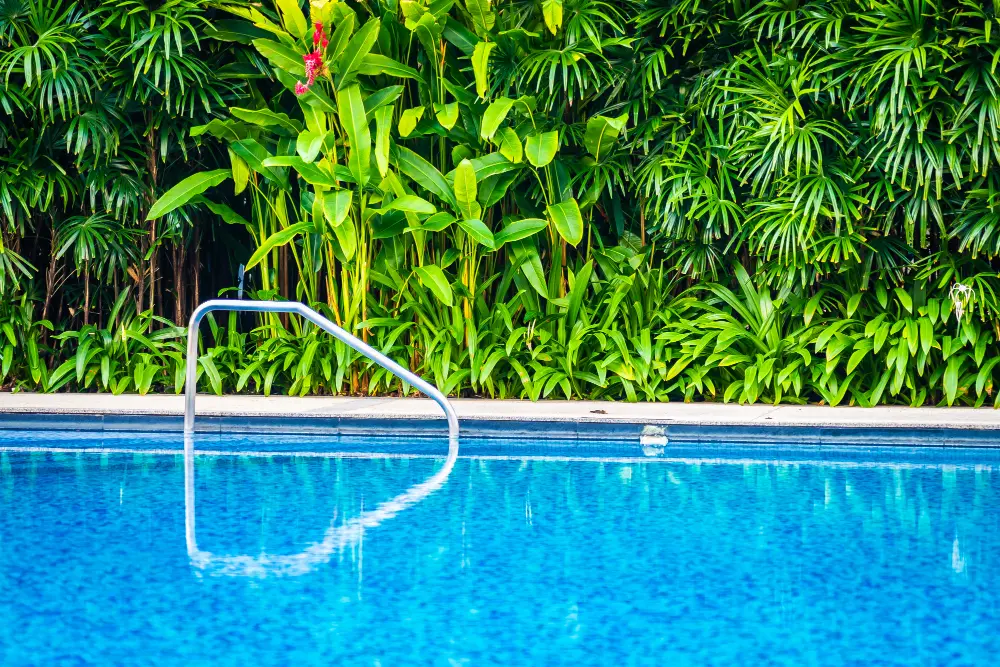 Top Swimming Pool Design Trends to Elevate Your Backyard Oasis